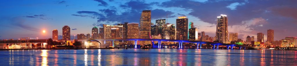 Blue Miami Skyline