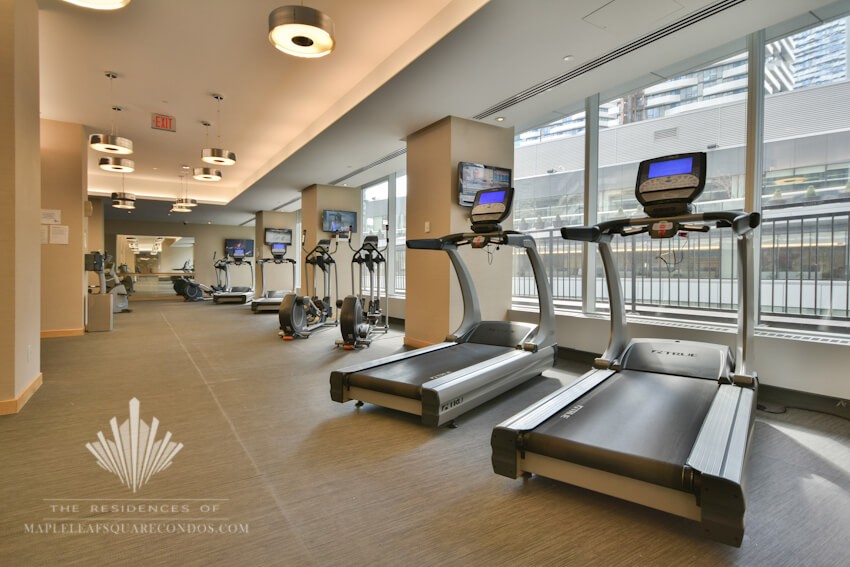 65 Bremner Blvd_Gym 65 Bremner Blvd_Gym