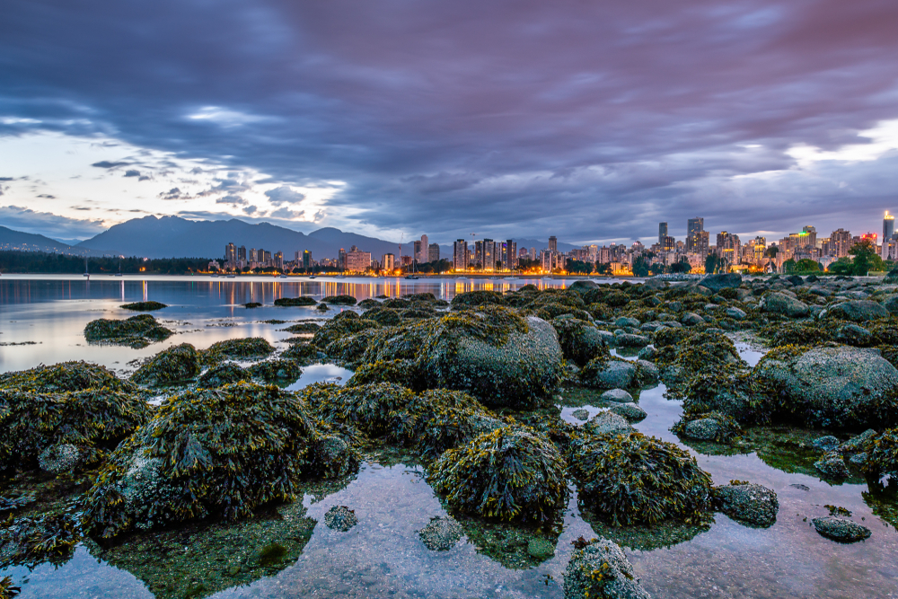 Best neighbourhoods in Vancouver for Airbnb