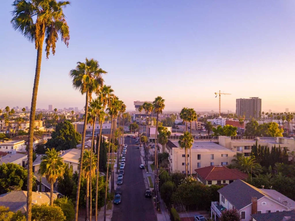 Panoramic view of the Los Angeles skyline and palm trees, symbolizing the complexity and potential of the best Airbnb neighborhoods in Los Angeles
