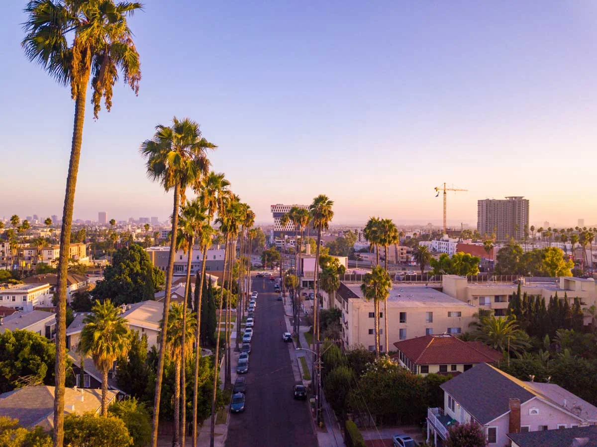 Panoramic view of the Los Angeles skyline and palm trees, symbolizing the complexity and potential of the best Airbnb neighborhoods in Los Angeles
