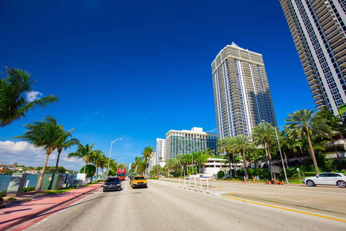 A lively street in a Miami urban neighborhood with palm trees and modern buildings