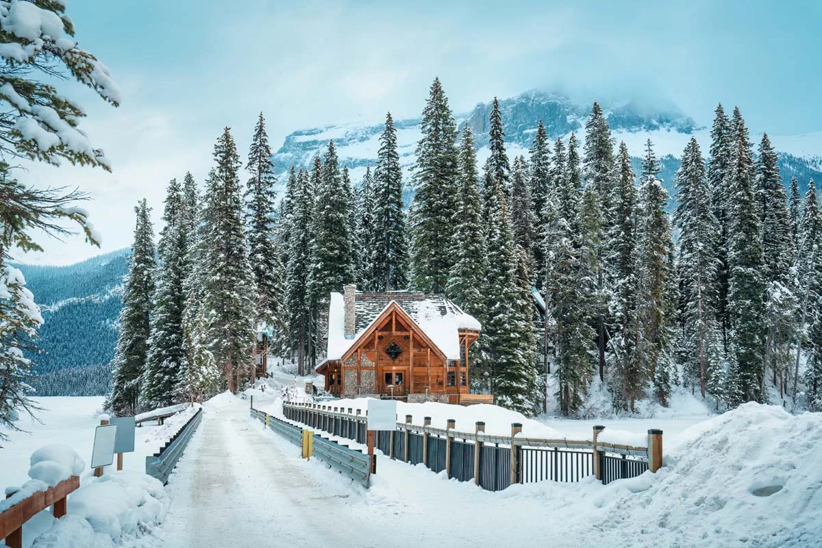 A modern wood-framed mountain cabin nestled in a thick forest in British Columbia