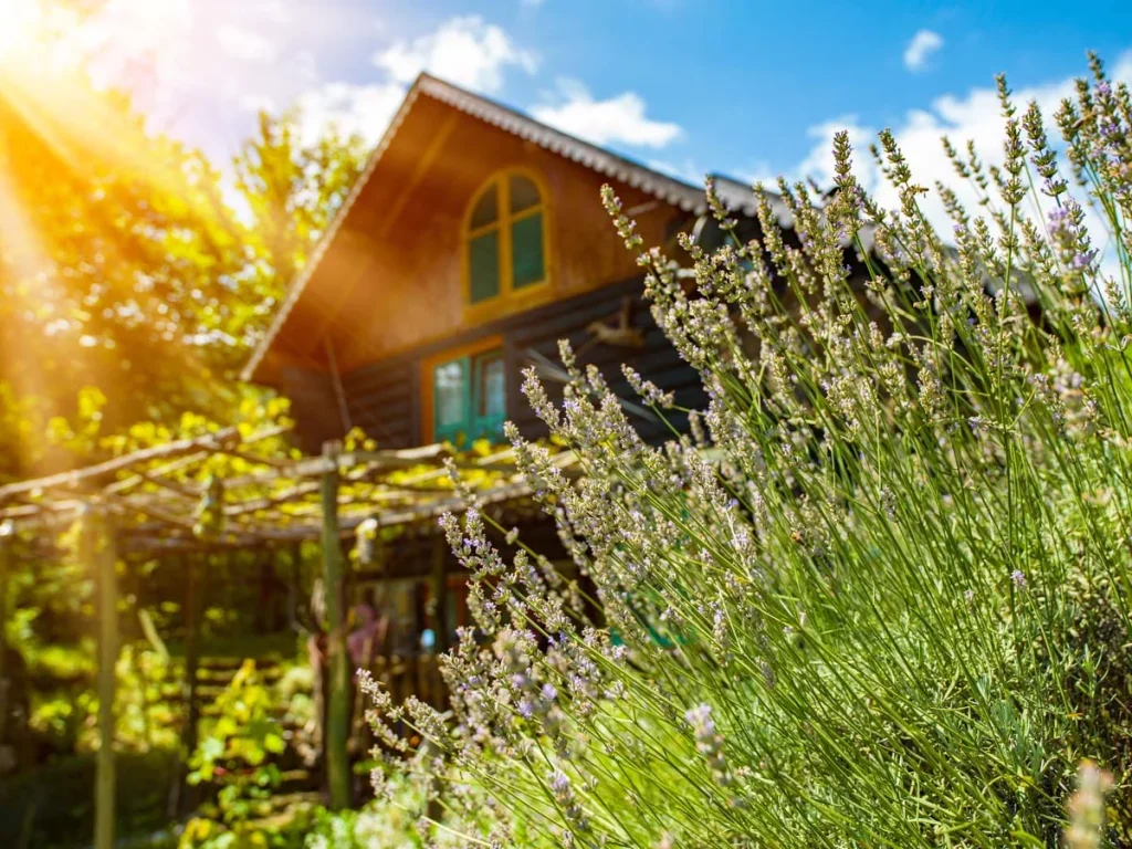 A cozy wooden vacation cottage surrounded by a lush forest in the Huntsville Muskoka area