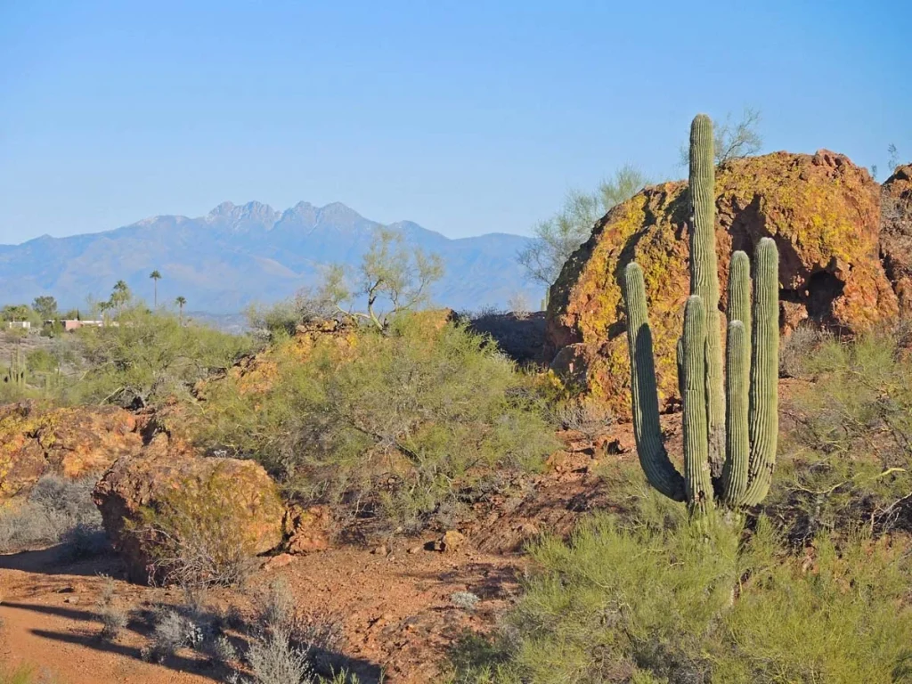 A quiet desert landscape in Fountain Hills AZ featuring mountain views