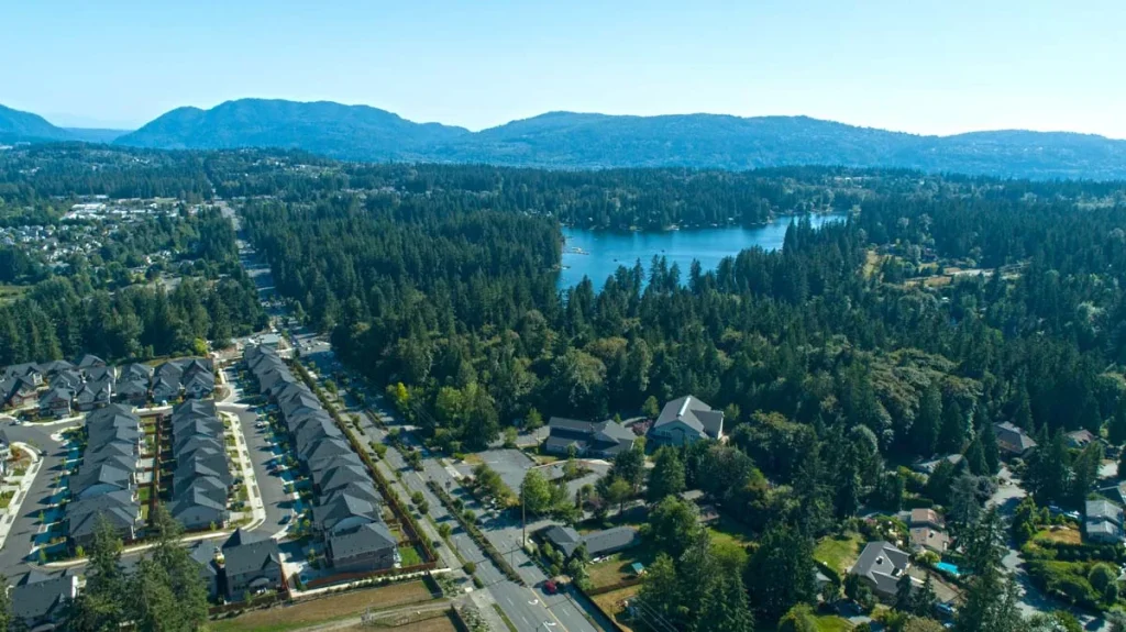 A quiet residential street in Sammamish featuring modern homes and tall evergreen trees