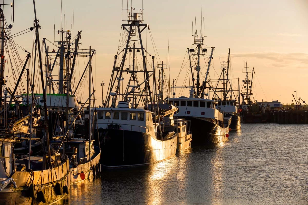 Steveston, Richmond BC at sunset, a neighborhood suitable for short term rentals