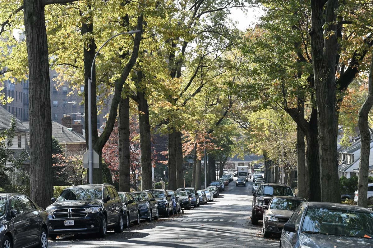 A quiet and safe tree-lined residential street in a Brooklyn neighborhood