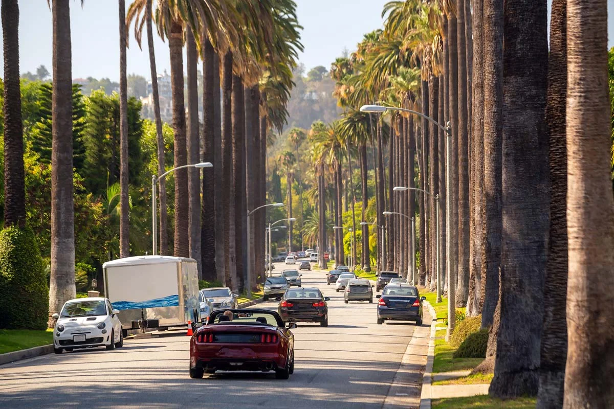 A sunny street in California with palm trees and blue skies