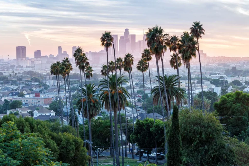 Iconic tall palm trees with the Los Angeles skyline in the background