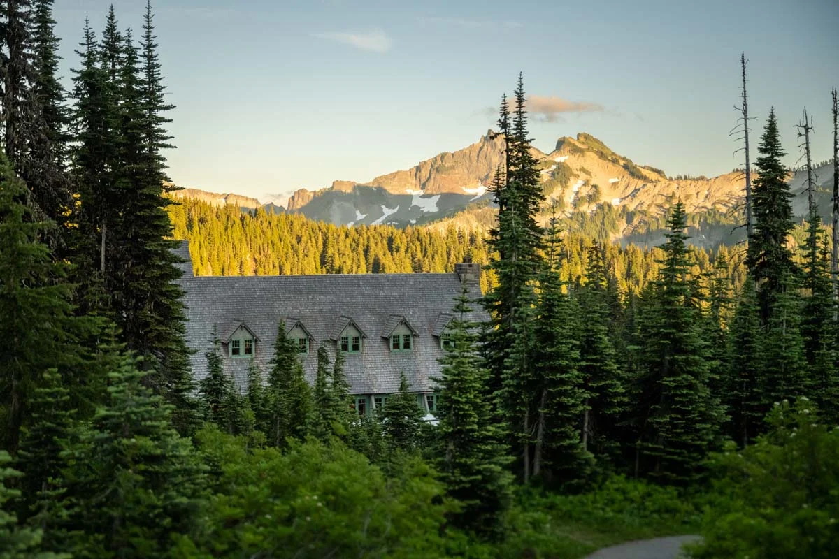 A cozy cabin surrounded by tall pine trees in the Washington wilderness