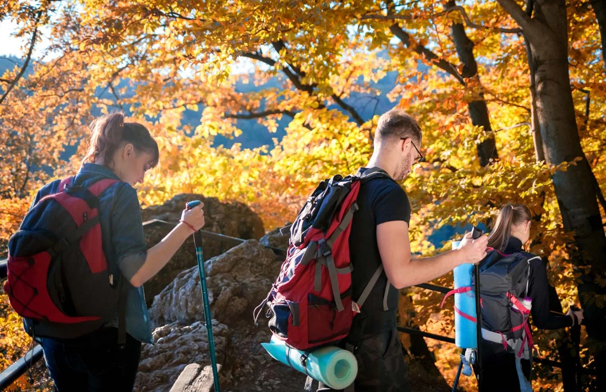 Hikers walking along a nature trail during autumn