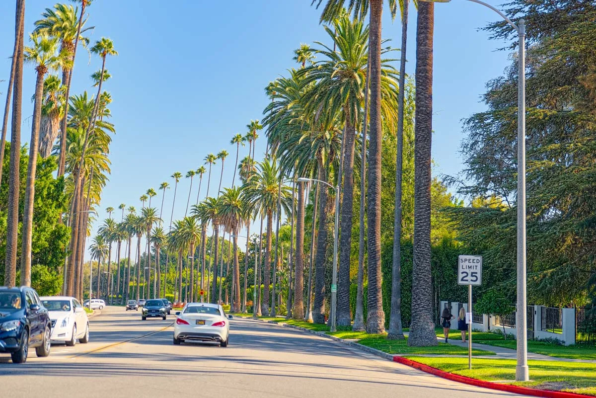Sunny walkable coastal neighborhood street lined with palm trees in Los Angeles