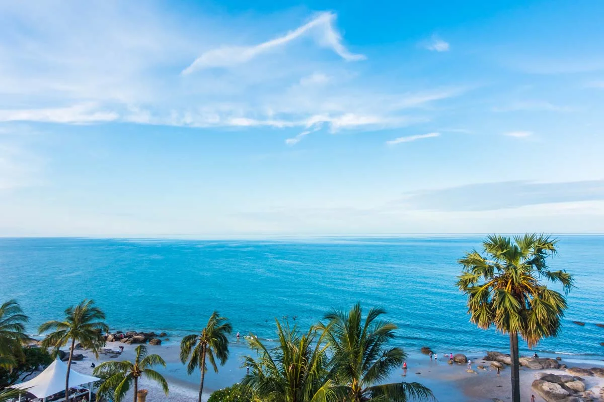 Miami Beach with sandy shoreline, blue water, and palm trees under a clear sky